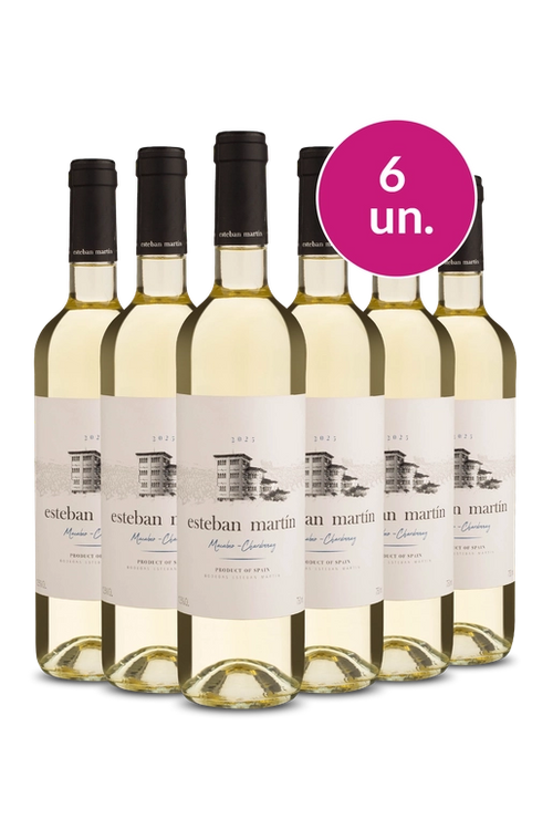 6 garrafas de vinho branco Esteban Martin, produto da Espanha, ideal para degustação e presentes